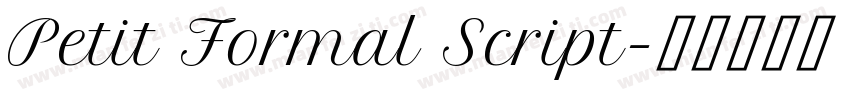 Petit Formal Script字体转换